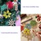 60 PCS Unfinished Wooden Snowflake Cutouts – Blank Paintable Christmas Craft Shapes for Kids DIY Art Projects, Holiday Decorations, Gift Making & Room Decor (with Hanging Rope)